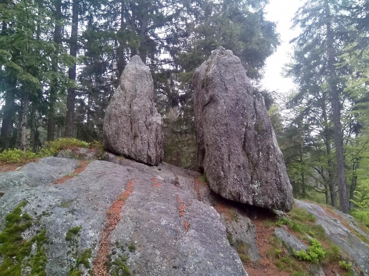 šumava
