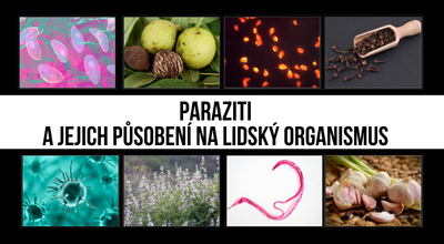 Paraziti a jejich působení na lidský organismus